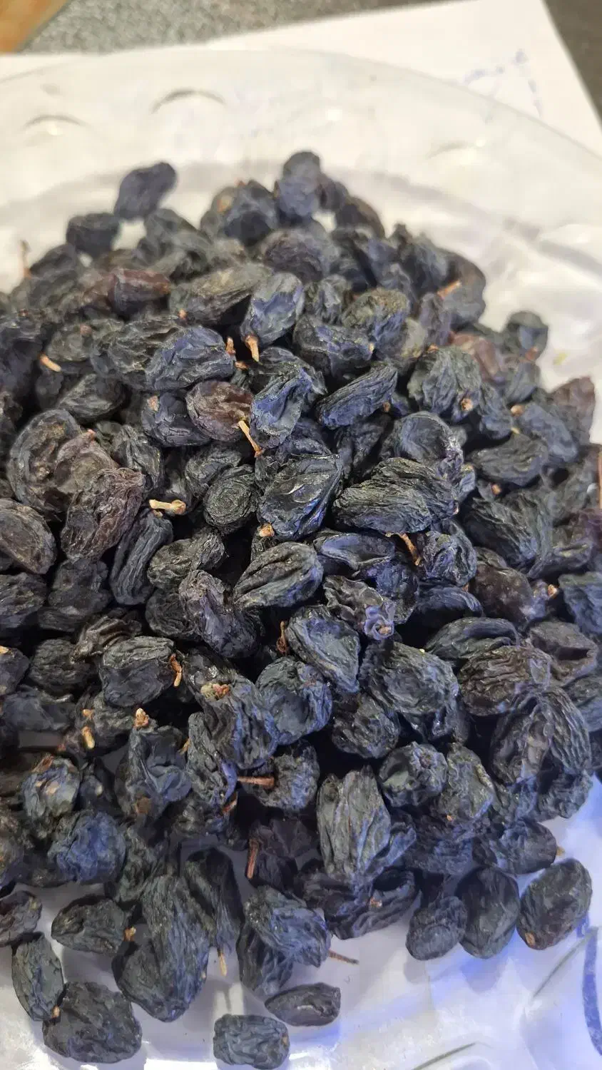 فروش انواع کشمش طلایی خرمایی|خوردنی و آشامیدنی|ابهر, |دیوار