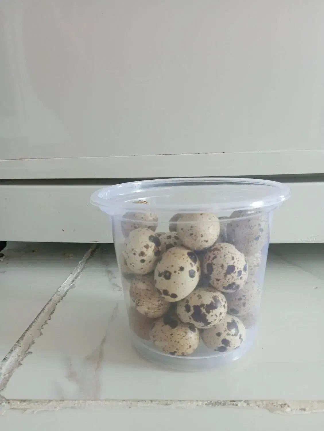 تخم بلدرچین محلی|خوردنی و آشامیدنی|پاوه, |دیوار