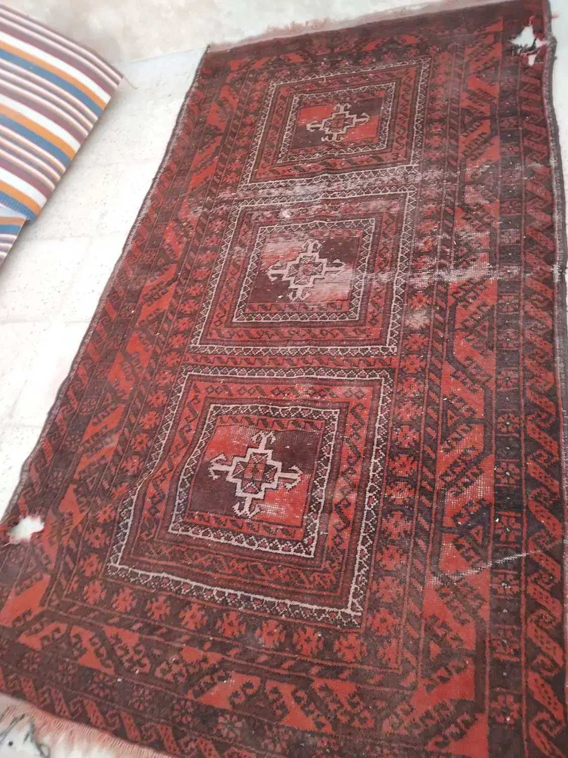 فرش دستباف|فرش|مشهد, نوده|دیوار