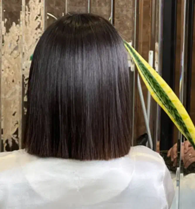 کراتین وپروتئین موهای آسیب دیده|خدمات آرایشگری و زیبایی|رشت, شهرک قدس|دیوار