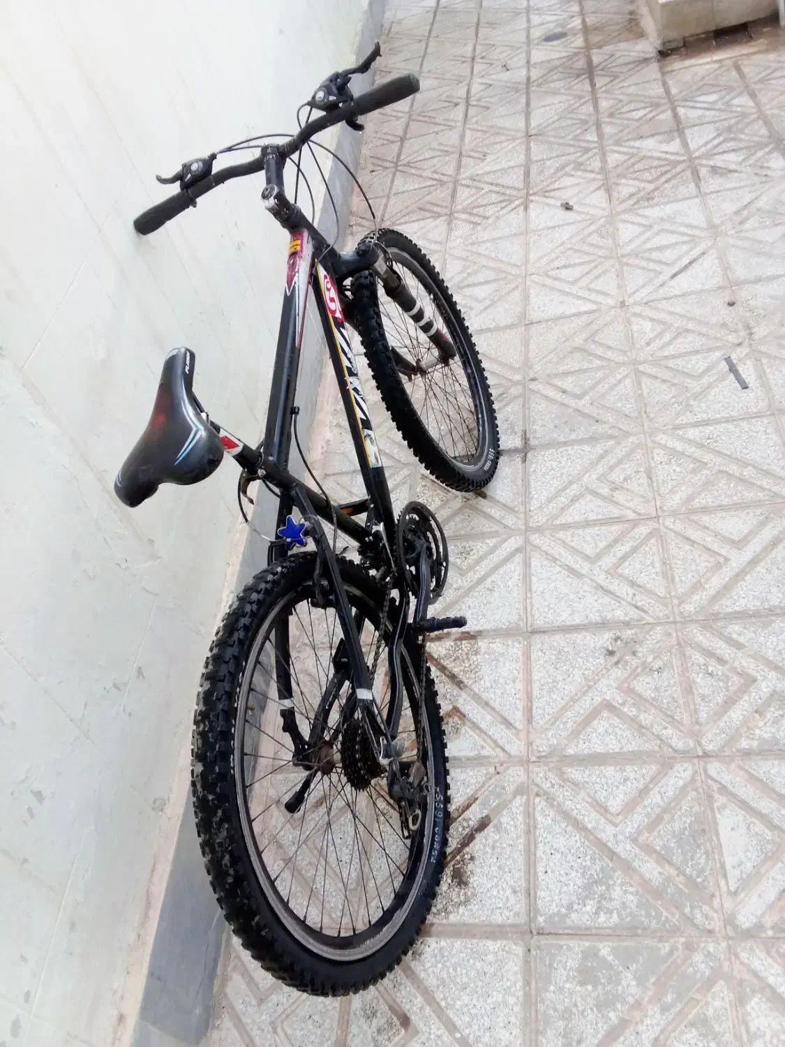 دوچرخه ویوا|دوچرخه، اسکیت، اسکوتر|قائن, |دیوار