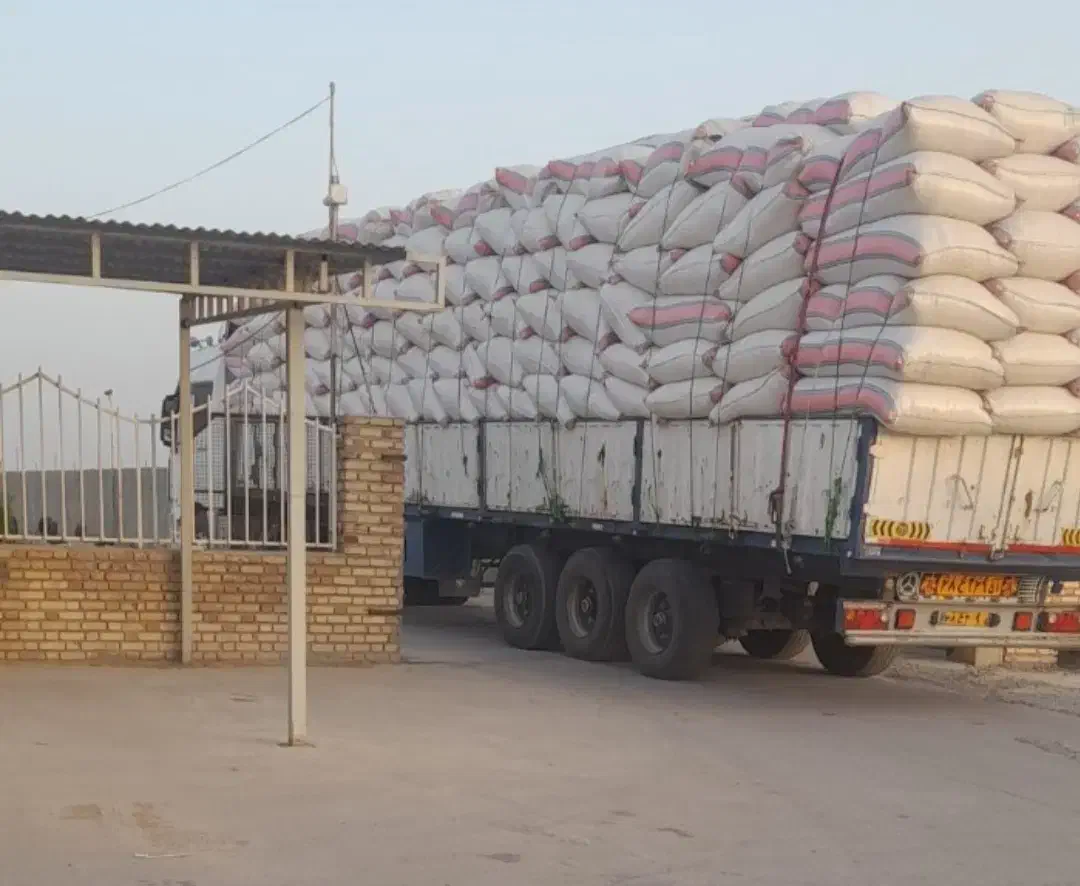 کاه کمباینی|عمده‌فروشی|مشهد, انقلاب|دیوار