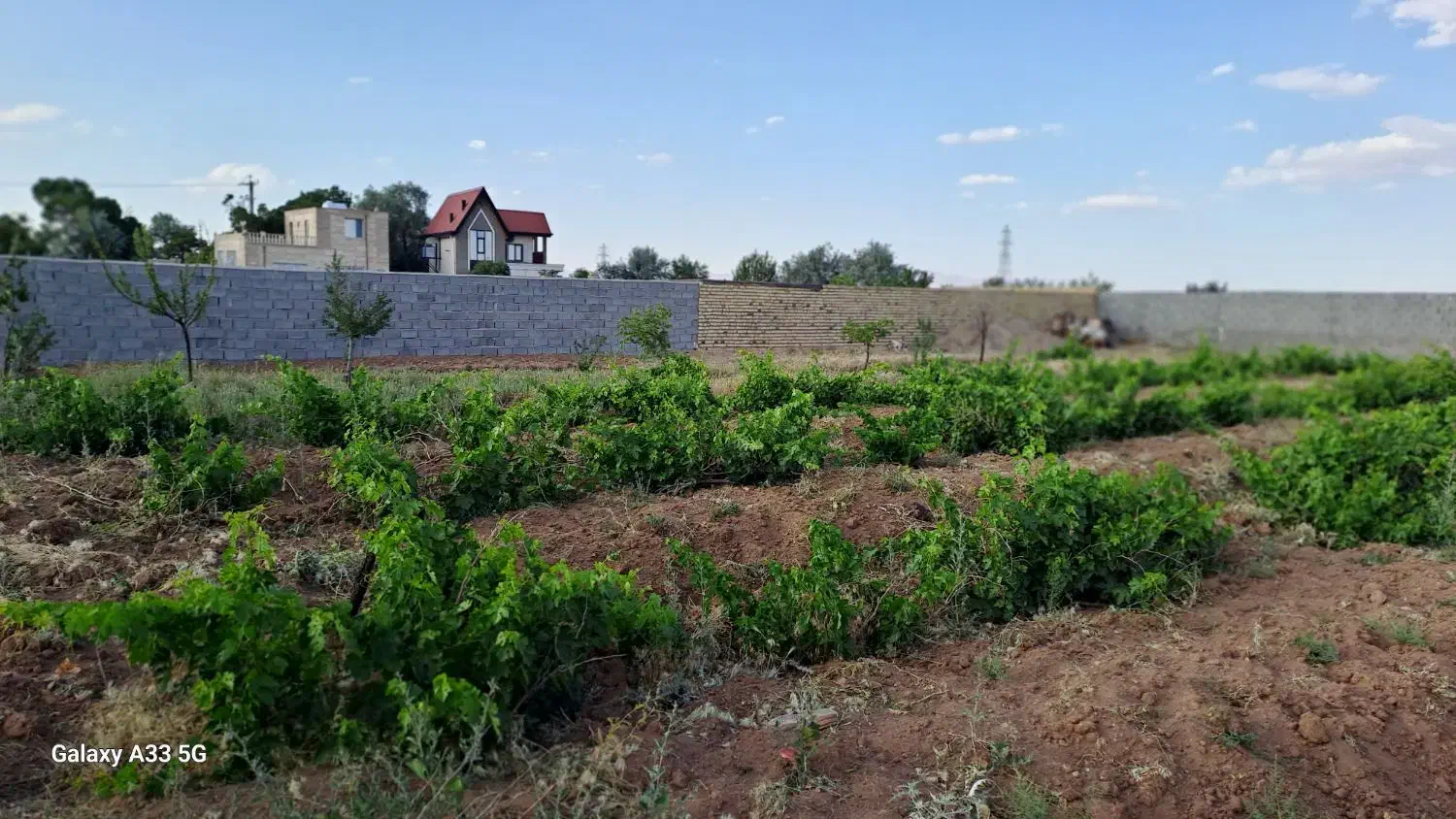 زمین باغی و کشاورزی چک و نقد و معاوضه با خودرو|فروش دفتر صنعتی، کشاورزی، تجاری|فرمهین, |دیوار