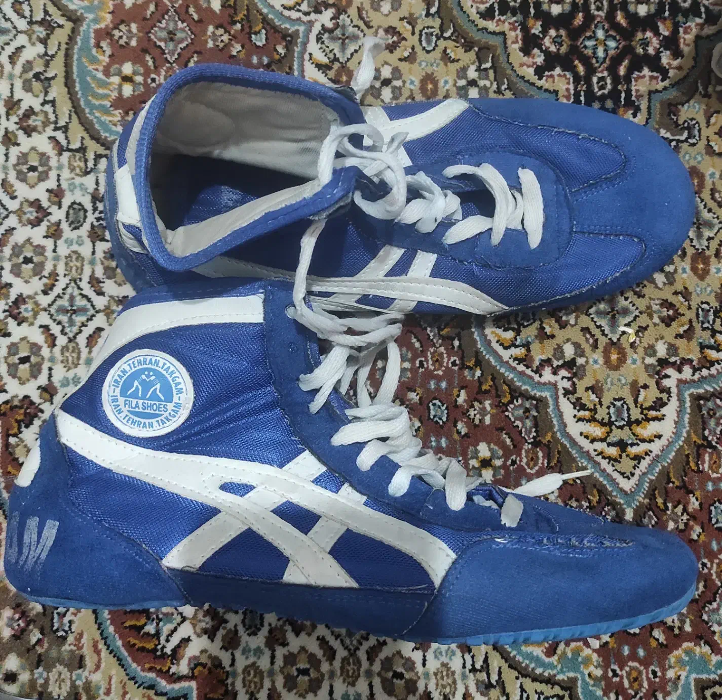 کفش کشتی|کیف، کفش، کمربند|آبیک, |دیوار