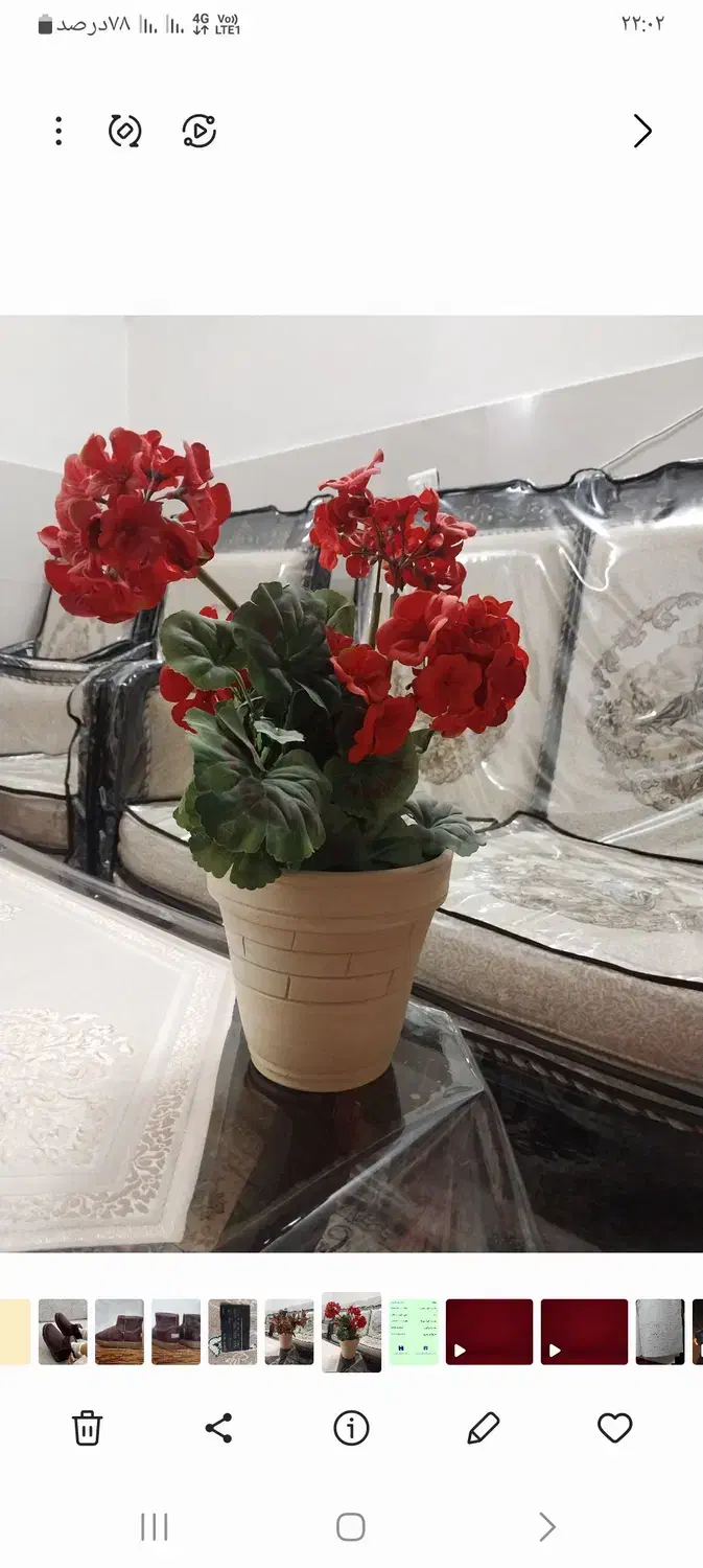 گل شمعدونی|گل مصنوعی|اصفهان, شاهد|دیوار