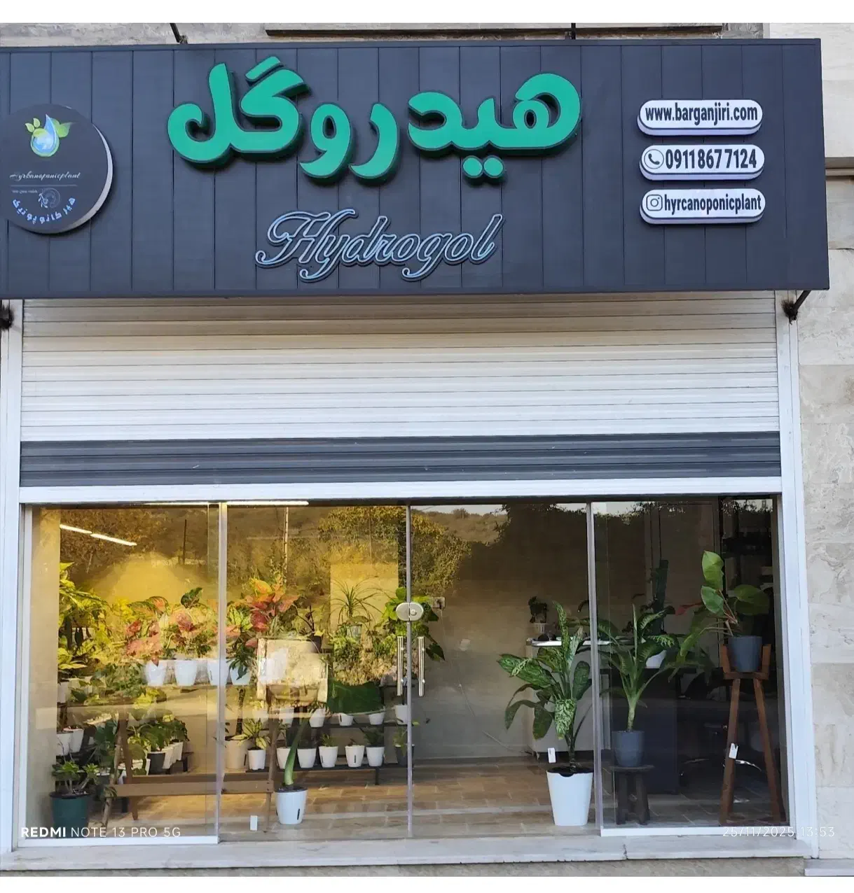 روشی نوین برای نگهداری گل های آپارتمانی|گل و گیاه طبیعی|گرگان, |دیوار