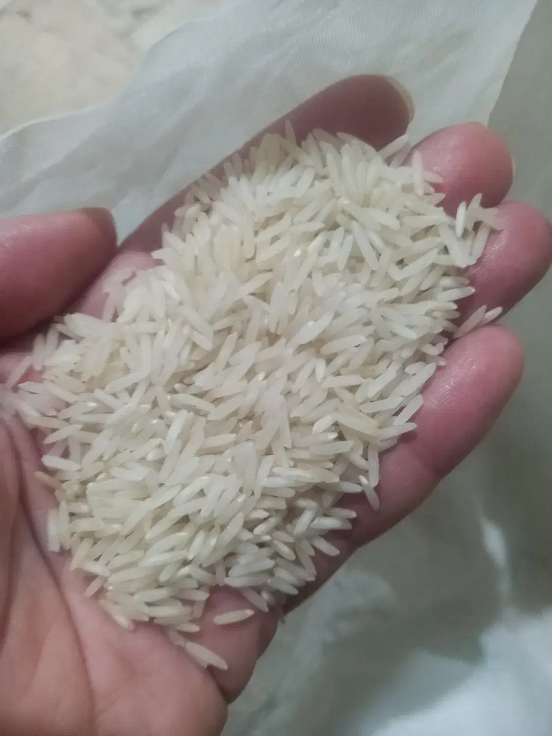 برنج ایرانی|خوردنی و آشامیدنی|تهران, گلچین|دیوار