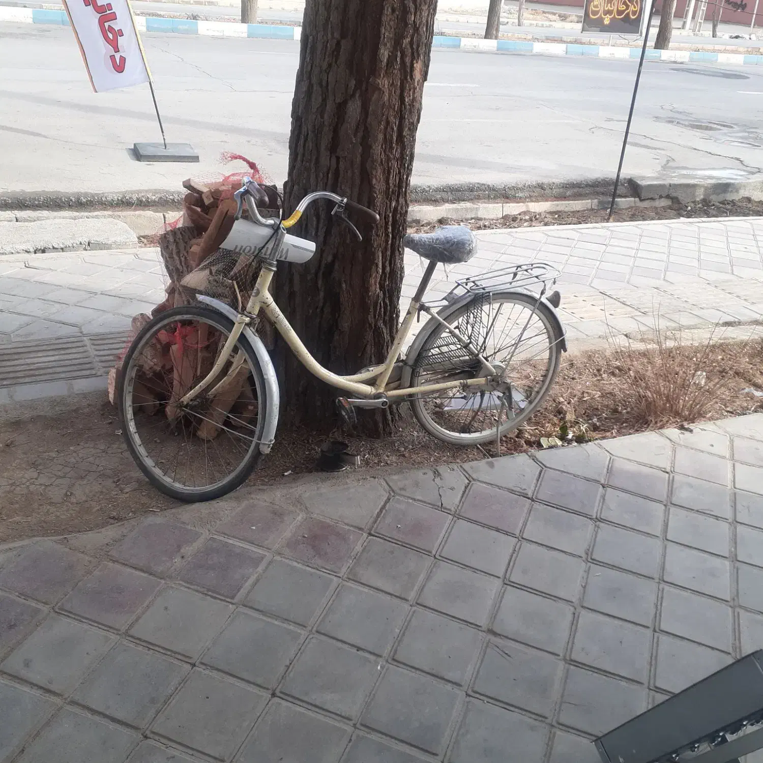 دوچرخه۲۴|دوچرخه، اسکیت، اسکوتر|شاهین‌شهر, نبوت|دیوار