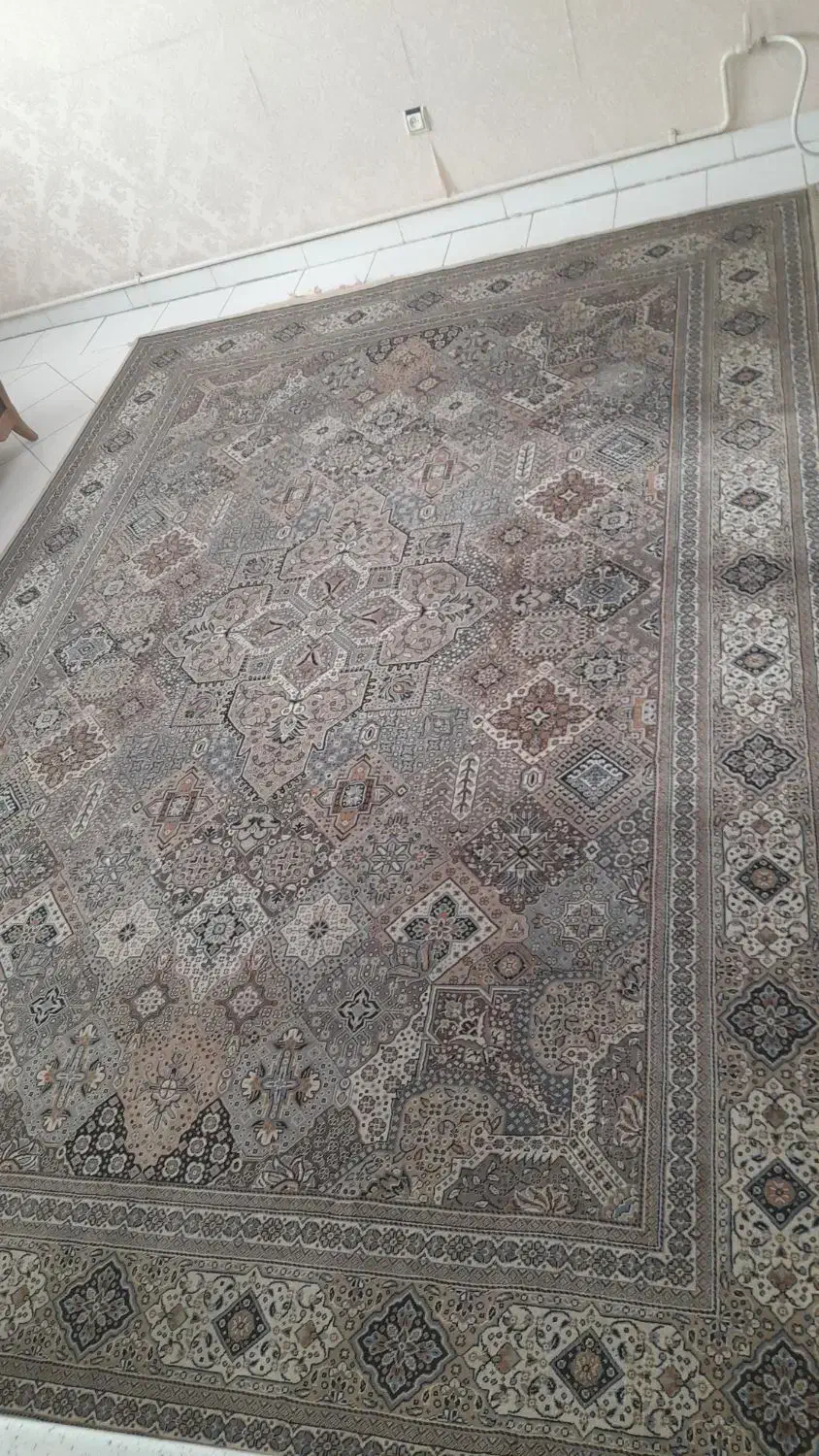 فرش 9 متری|فرش|فردیس, داوری|دیوار