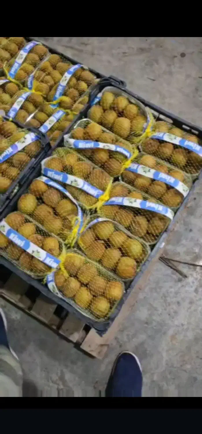 جذب سرمایه جهت صادرات میوه|استخدام مالی، حسابداری، حقوقی|ارومیه, |دیوار