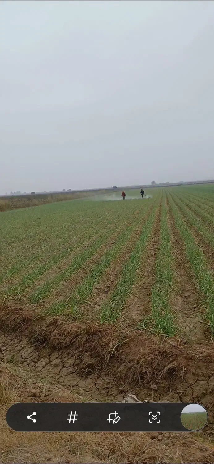 سم پاشی|عمده‌فروشی|پارس‌آباد, |دیوار