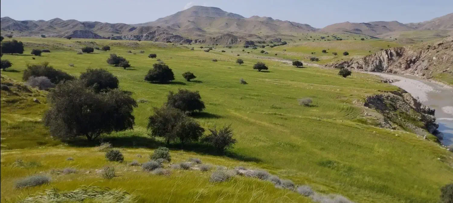 زمین کشاورزی|فروش زمین و ملک کلنگی|مسجد سلیمان, |دیوار