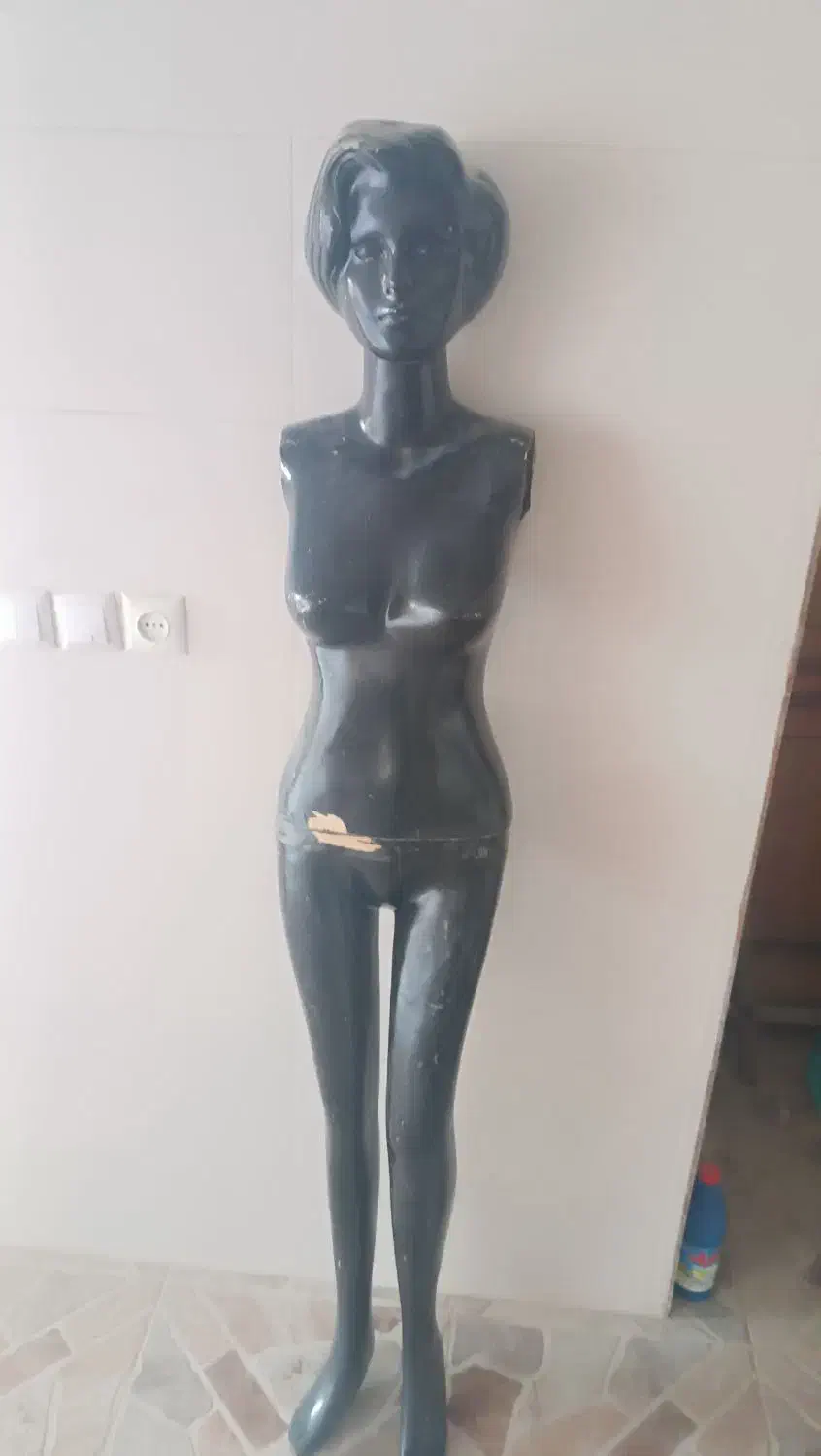 مرغ ومانکن|حیوانات مزرعه|برازجان, |دیوار