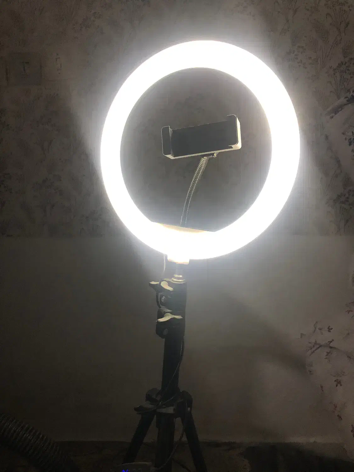 رینگ لایت|دوربین عکاسی و فیلم‌برداری|مشهد, طبرسی شمالی|دیوار