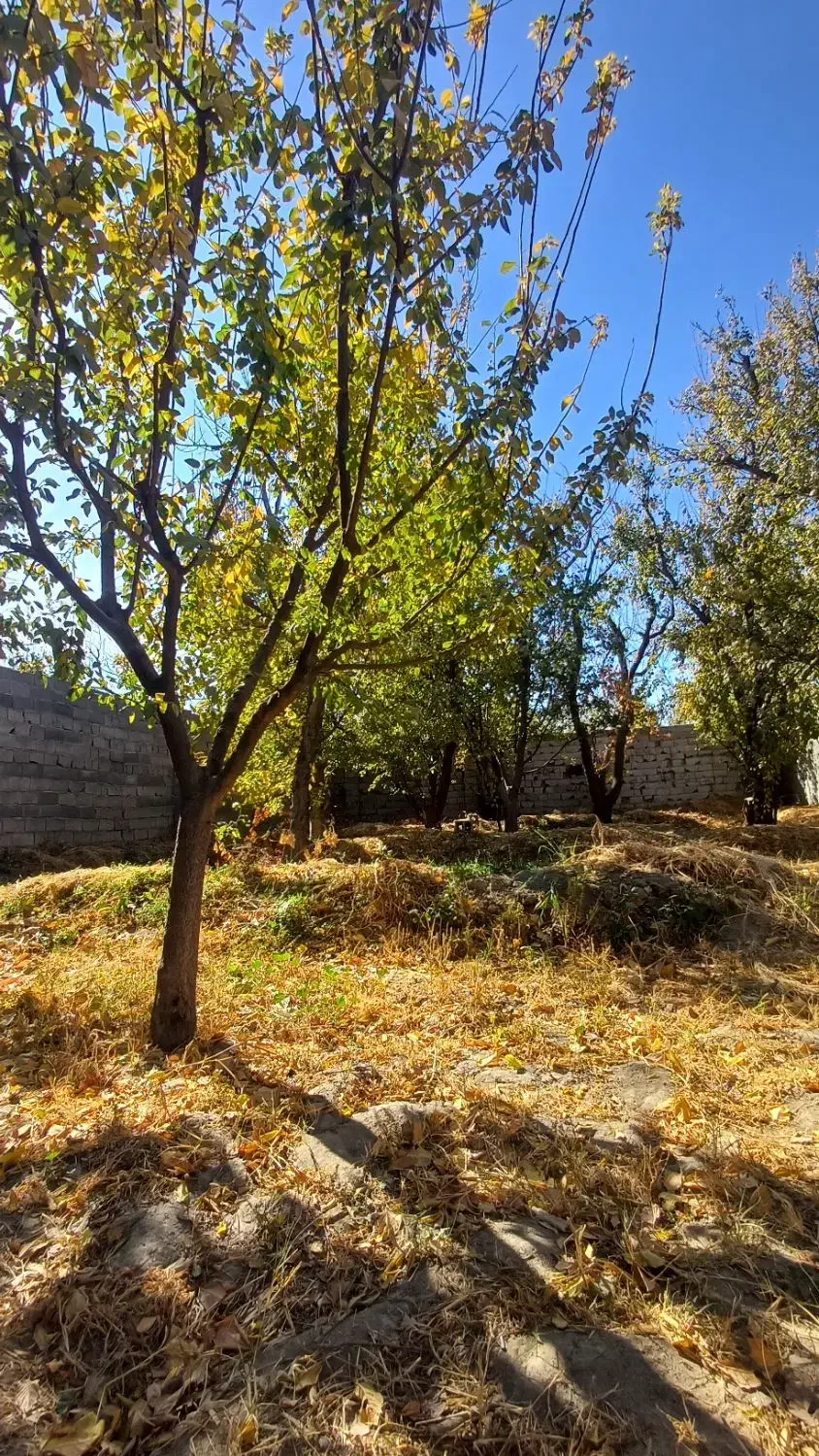 400 متر باغچه کردزار سند دار کاسبی|فروش خانه و ویلا|شهریار, کردزار|دیوار