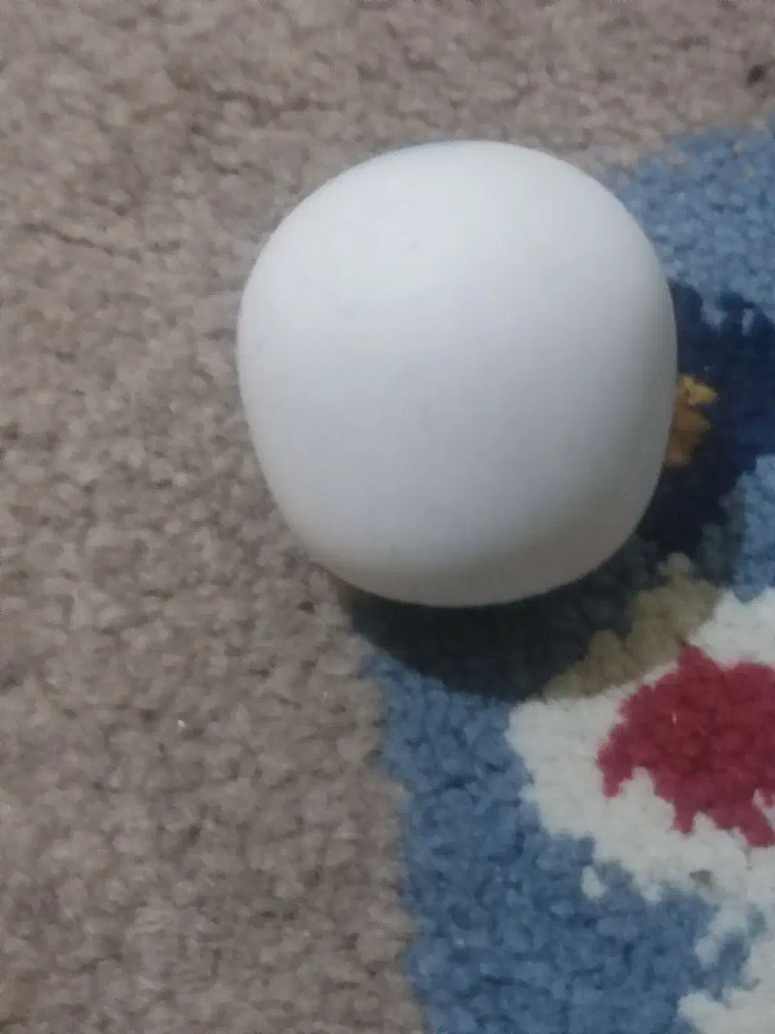 سنگ|کلکسیون اشیاء عتیقه|شیراز, سعدیه شمالی|دیوار