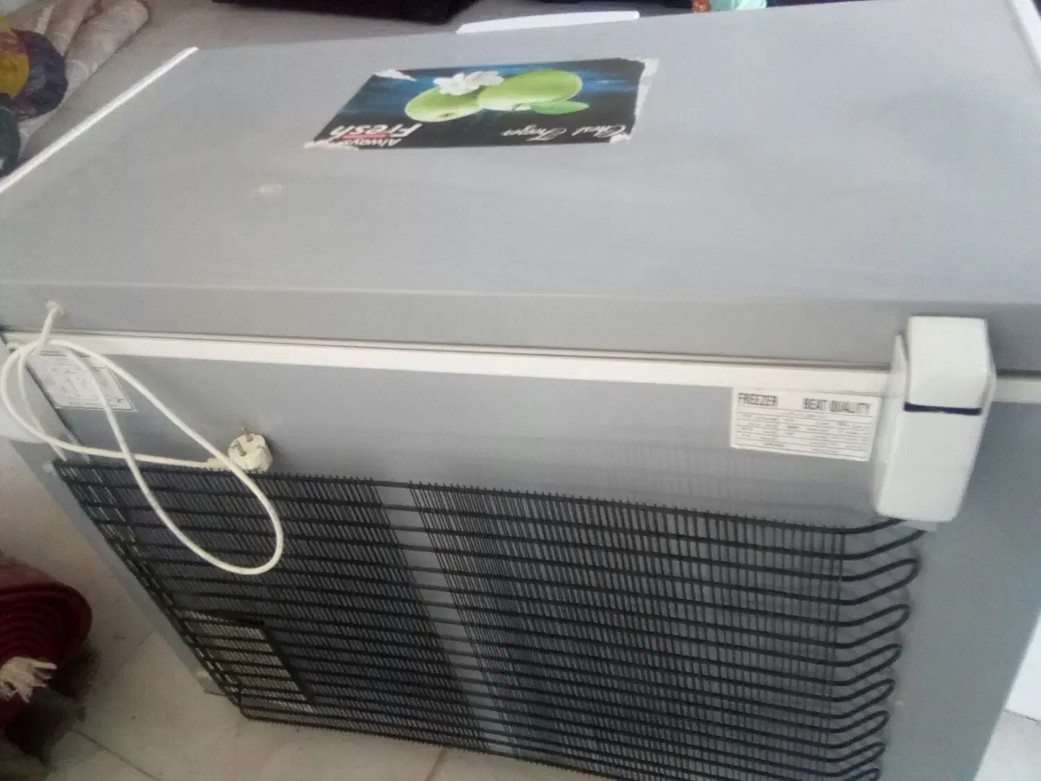 فریزر صندوقی تک درب تراکمی|یخچال و فریزر|گنبد کاووس, |دیوار