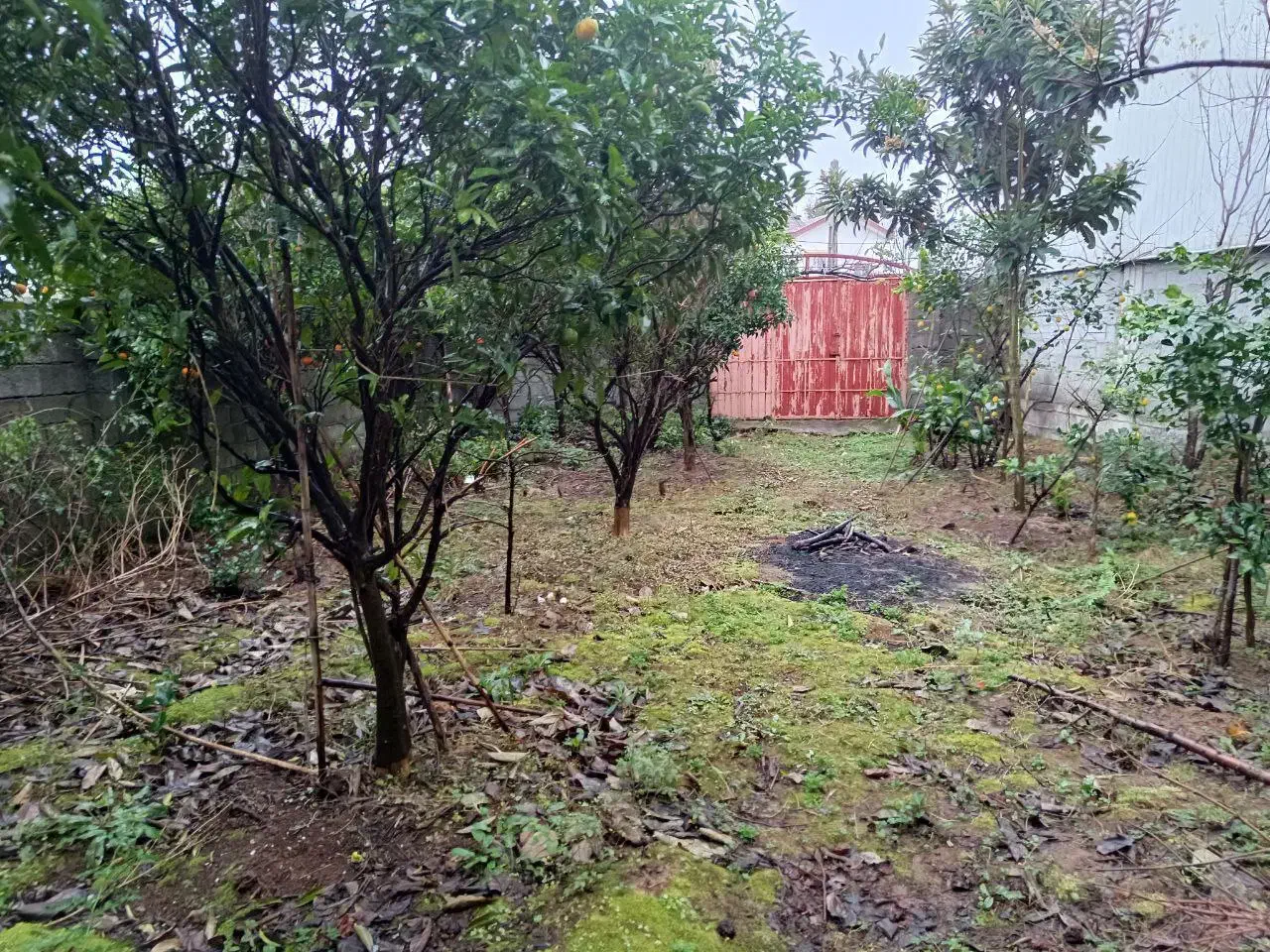 واجارگاه ۱۱۸ متر زمین بلوار دانشگاه|فروش زمین و ملک کلنگی|واجارگاه, |دیوار