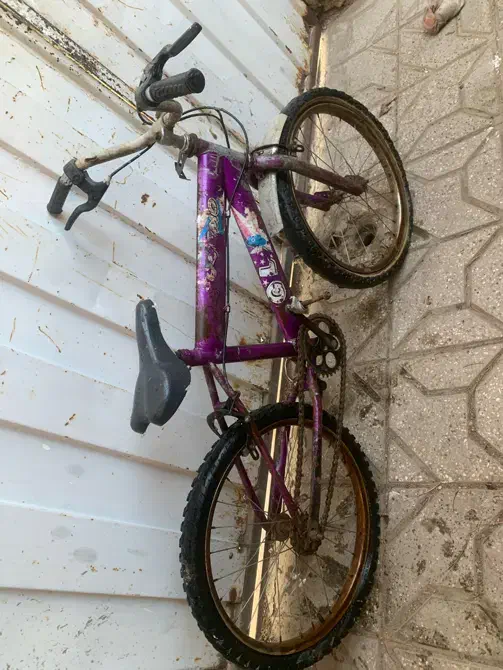 دوچرخه۲۰|دوچرخه، اسکیت، اسکوتر|تربت جام, شهرک معلم|دیوار