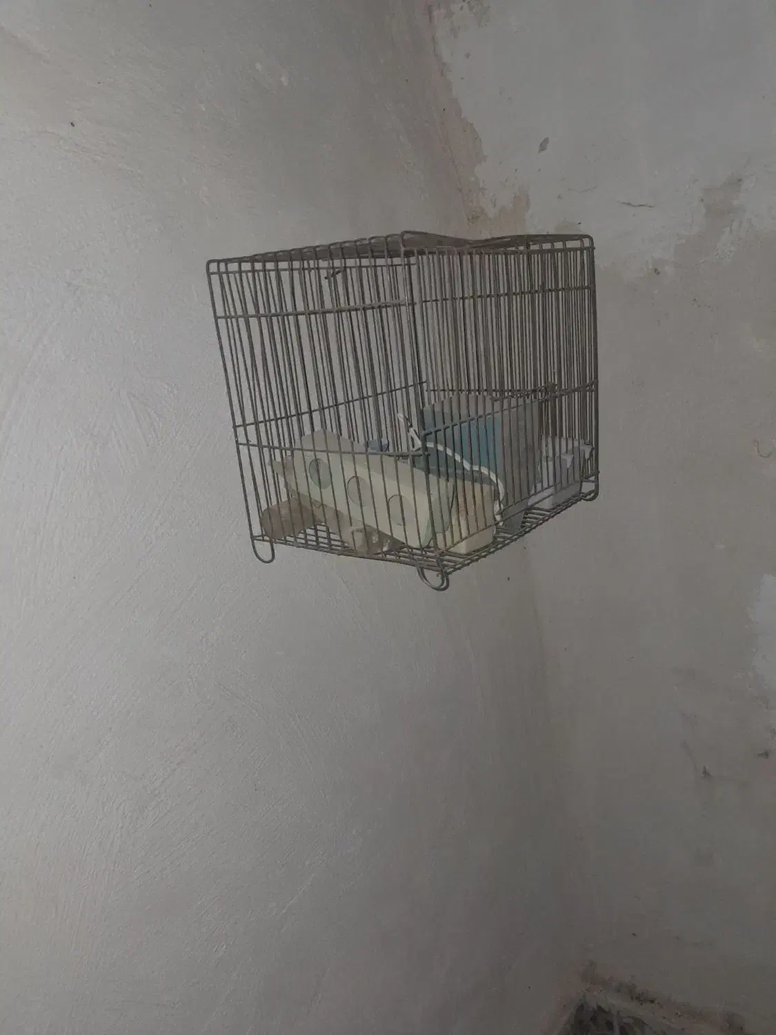 قفس|لوازم جانبی حیوانات|اشترینان, |دیوار