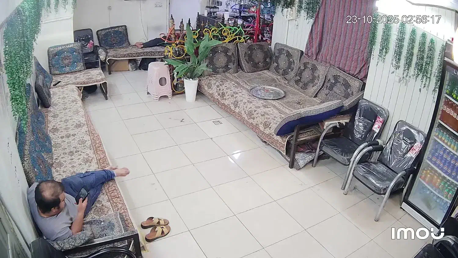 بازی مافیا ورودی رایگان «کافه لیمون»|فعالیت داوطلبانه|قم, عشقعلی|دیوار