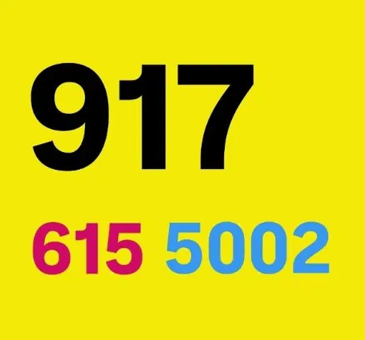 0917-619-8002|سیم‌کارت|شیراز, معالی‌آباد|دیوار