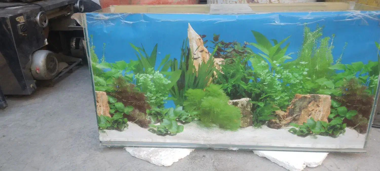 لوازم خانگی به فروش می رسد|سایر لوازم برقی|زابل, |دیوار