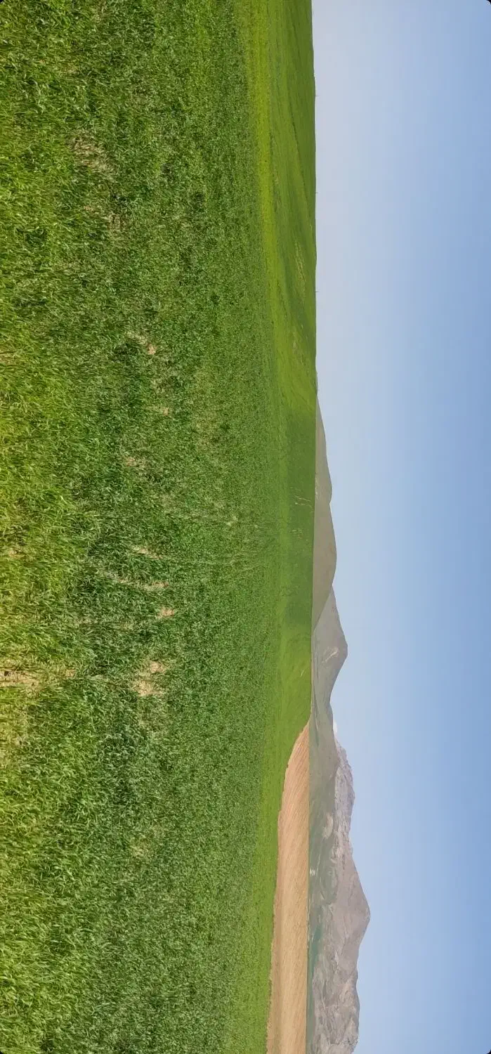 زمین کشاورزی|فروش زمین و ملک کلنگی|کاکاوند, |دیوار