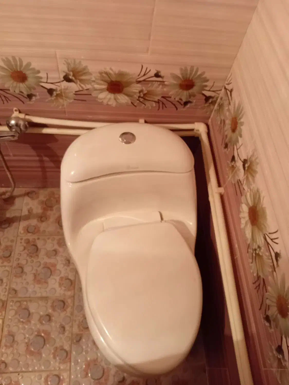 توالت فرنگی جنس چینی|لوازم سرویس بهداشتی|نهاوند, |دیوار