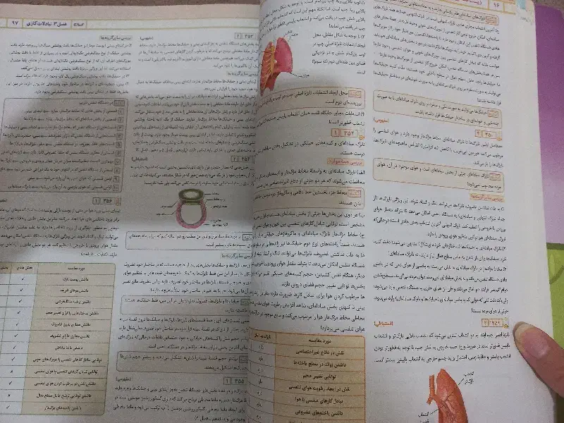 کتاب زیست شناسی آی کیو  ویژه کنکور ۴۰۴ بسیار تمیز|کتاب و مجله آموزشی|قم, زنبیل آباد|دیوار