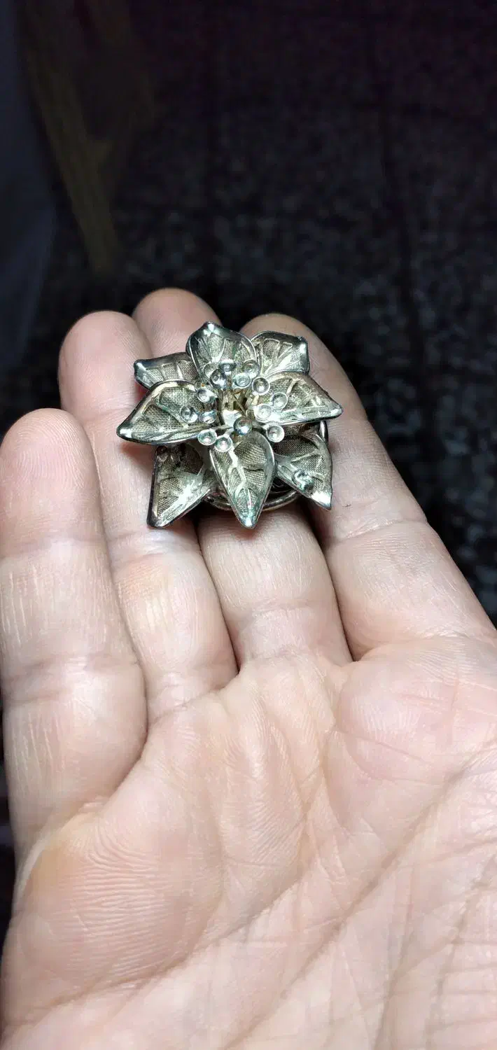 یک جفت گل سینه عطیقه قاجاری|کلکسیون اشیاء عتیقه|رشت, کاکتوس|دیوار