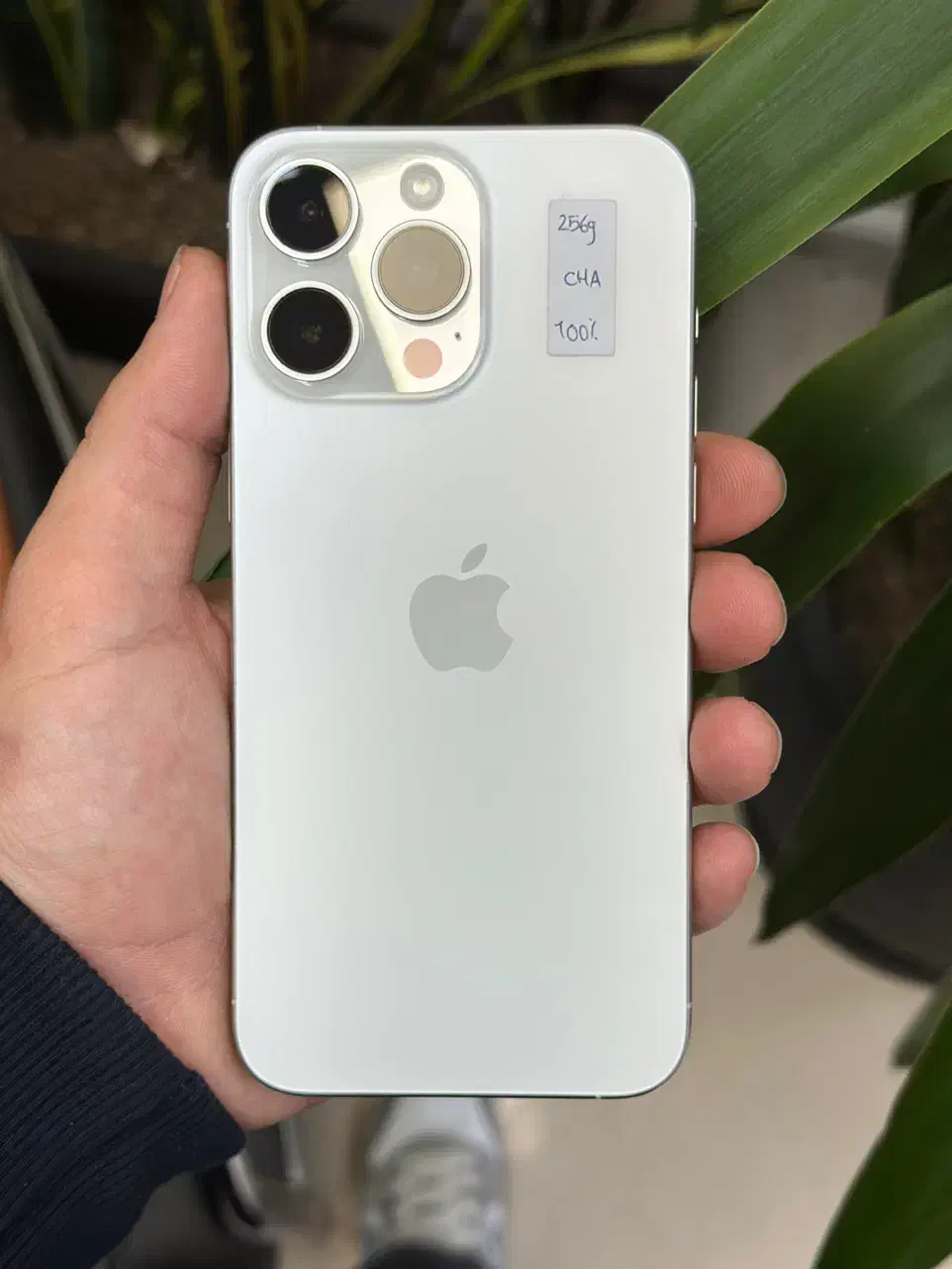 Iphone 15promax//آیفون ۱۵پرومکس|موبایل|مشهد, عامل|دیوار