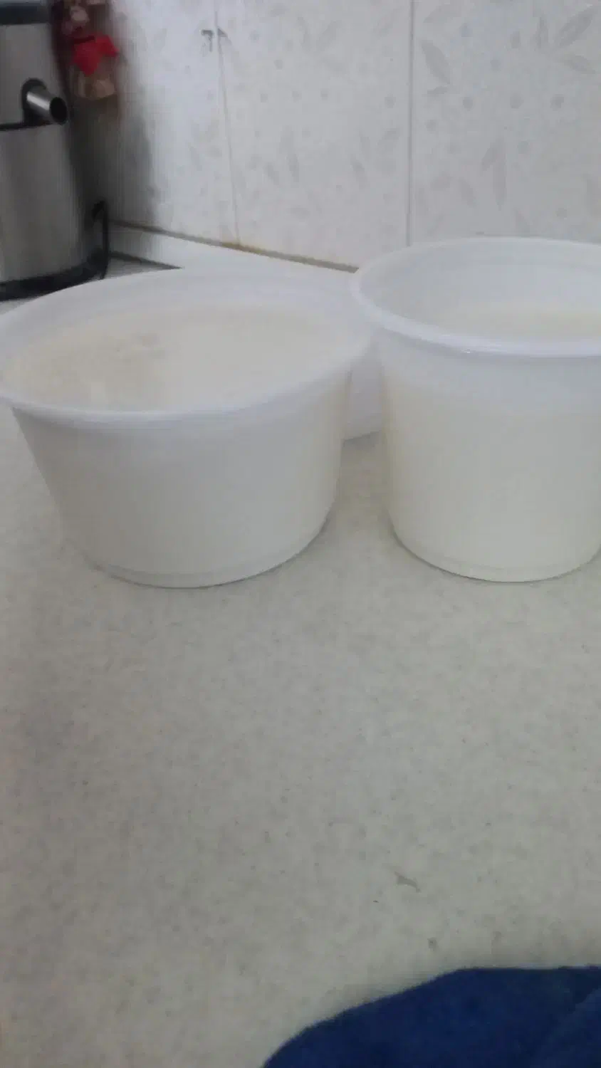 ماست محلی وشیر گاو|خوردنی و آشامیدنی|هشتگرد, هشتگرد قدیم|دیوار