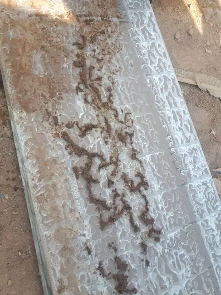 سمپاشی وموریانه زدایی باضمانت نامه کتبی|خدمات نظافت|بندر امام خمینی, |دیوار