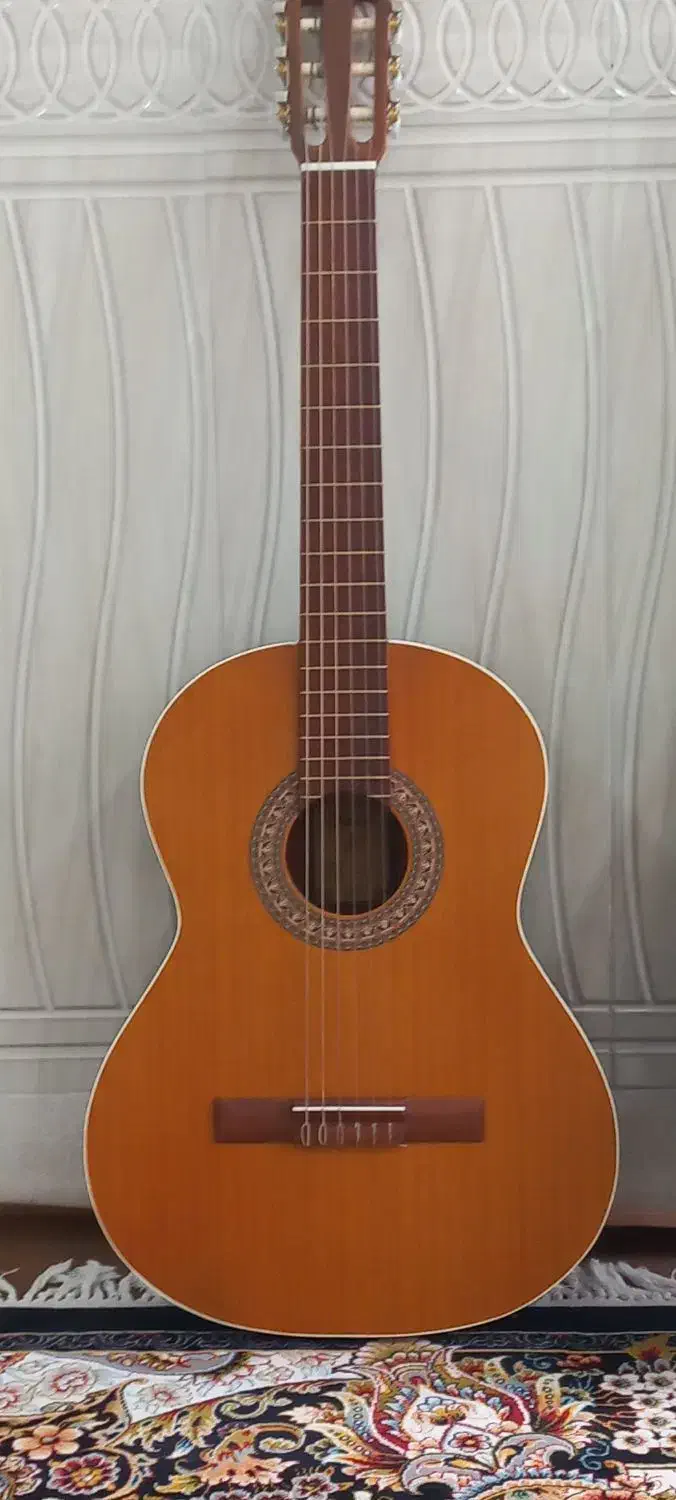 گیتار m5|گیتار، بیس، امپلیفایر|قم, نیروگاه|دیوار