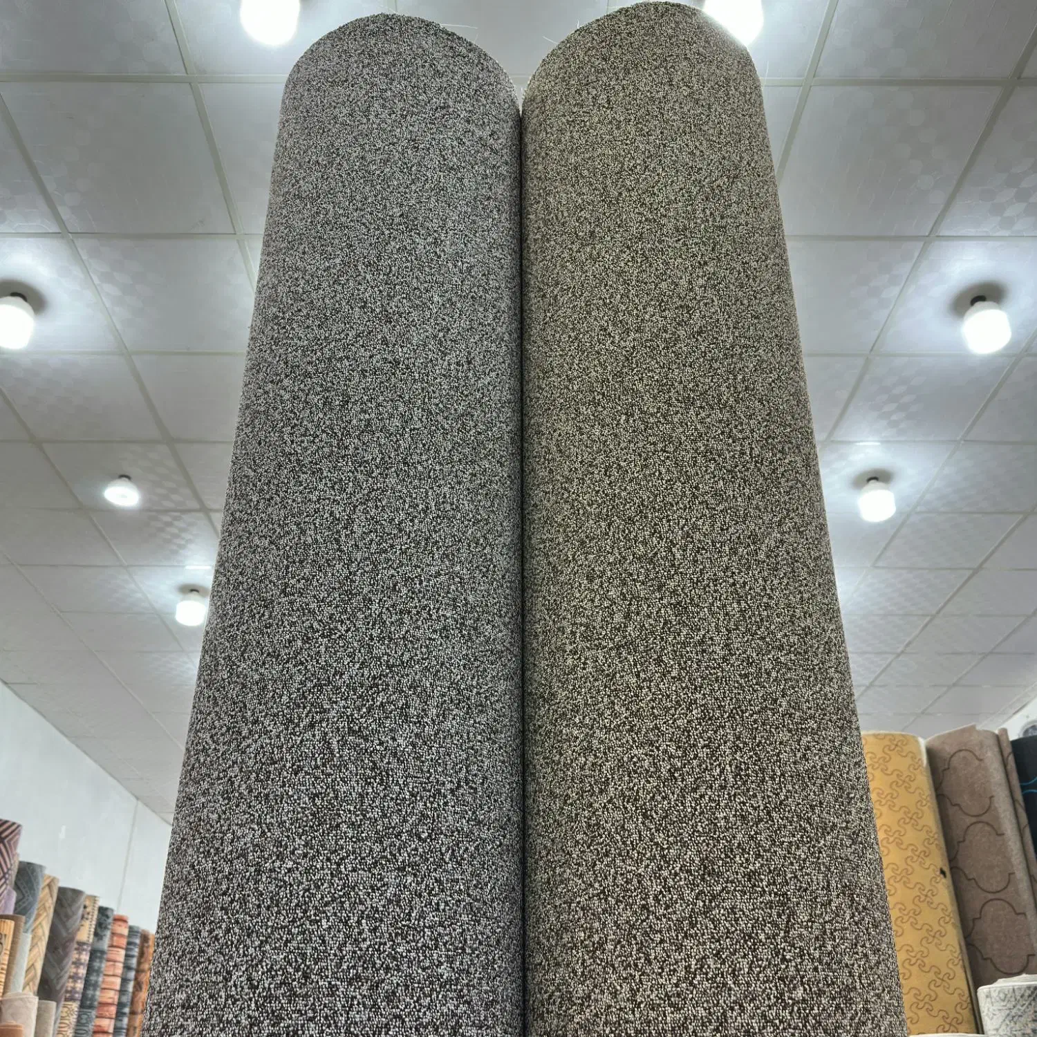 موکت تافتینگ پورتو ظریف مصور در (( رادیم موکت ))|موکت|مشهد, توس (بلوار توس)|دیوار