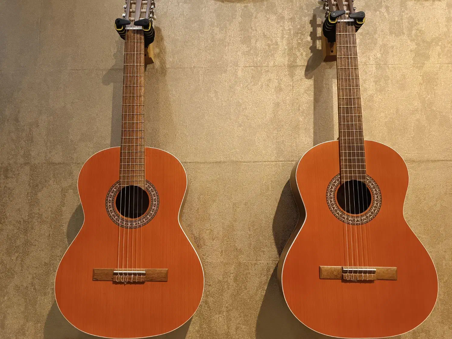 فروش عمده و تکی گیتار پارسی|گیتار، بیس، امپلیفایر|نیشابور, امین اسلامی|دیوار