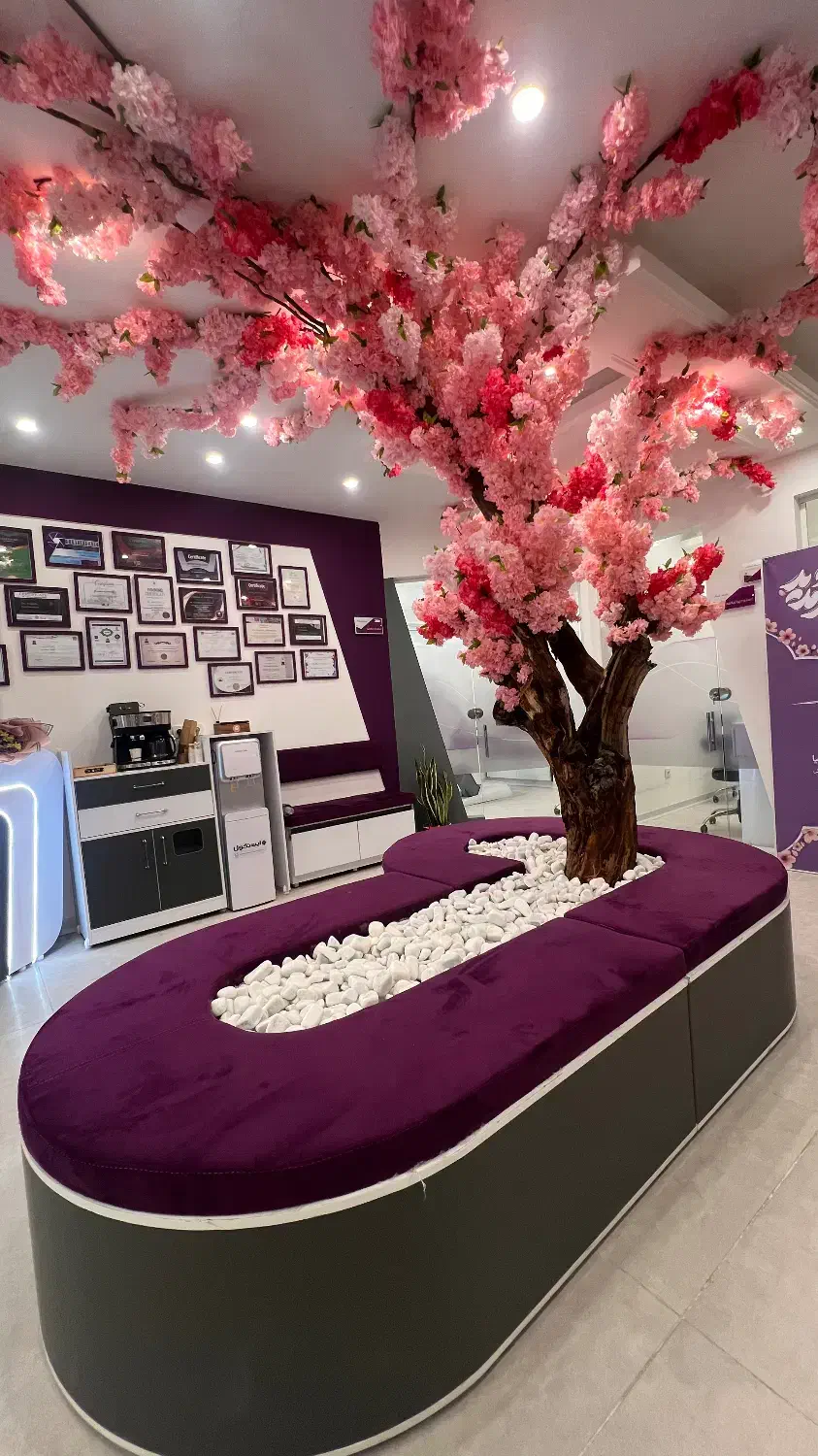 کلینیک دندانپزشکی سوفیا افتتاح شد|خدمات آرایشگری و زیبایی|یزد, |دیوار