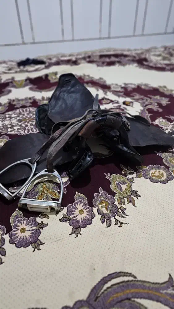 زین و رکاب اسب|اسب و تجهیزات اسب‌سواری|مرودشت, رودبال|دیوار