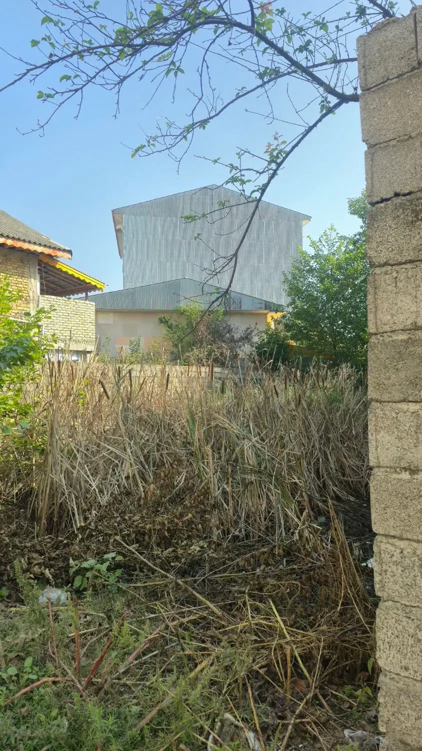 ۲۵۰ متر زمین شهری با پروانه سه طبقه قیمت۵۳۰۰|فروش زمین و ملک کلنگی|کوچصفهان, |دیوار