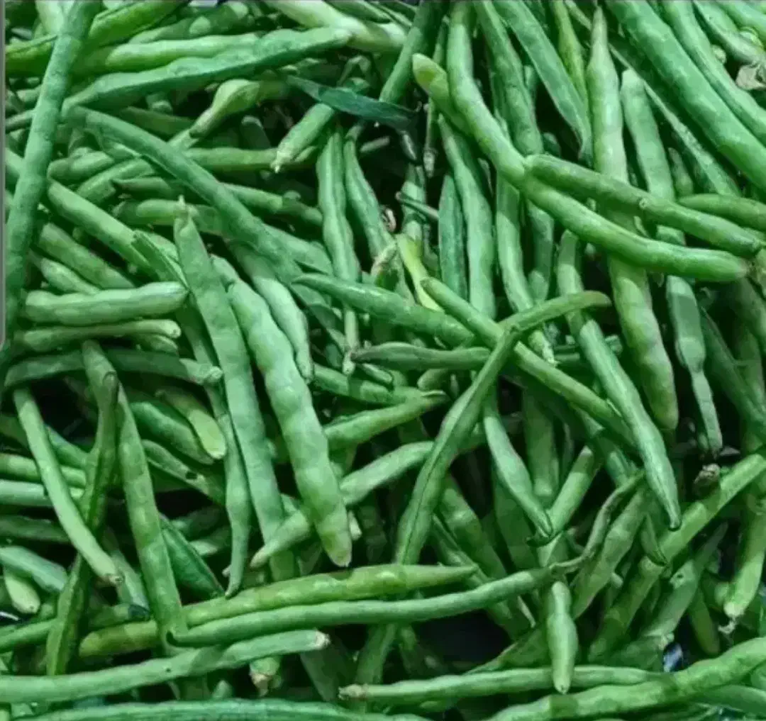 لوبیا سبز|خوردنی و آشامیدنی|حمیدیه, |دیوار