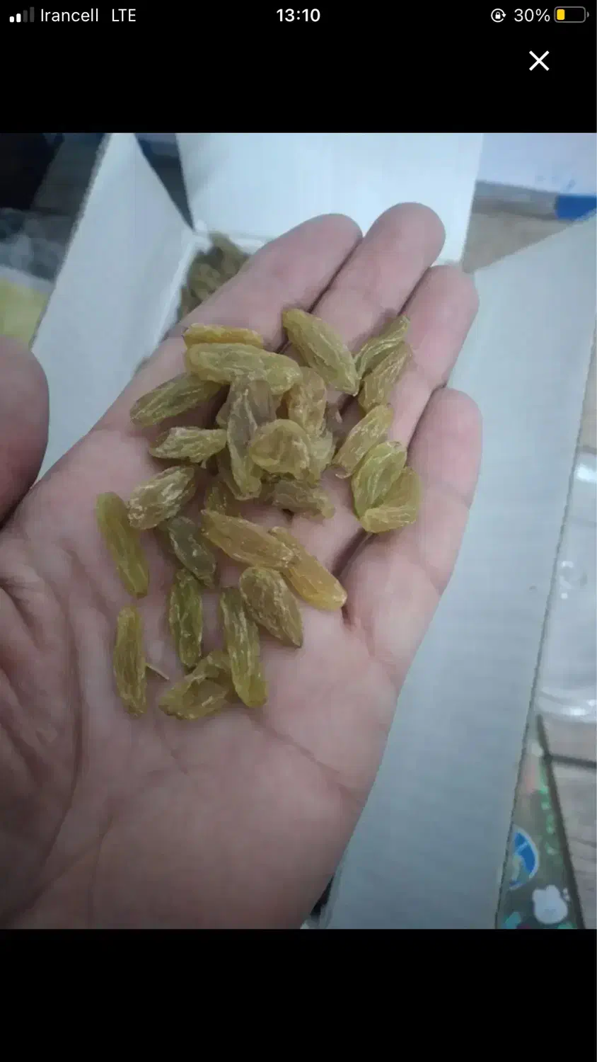 کشمش سبز باغات.|خوردنی و آشامیدنی|قوچان, |دیوار