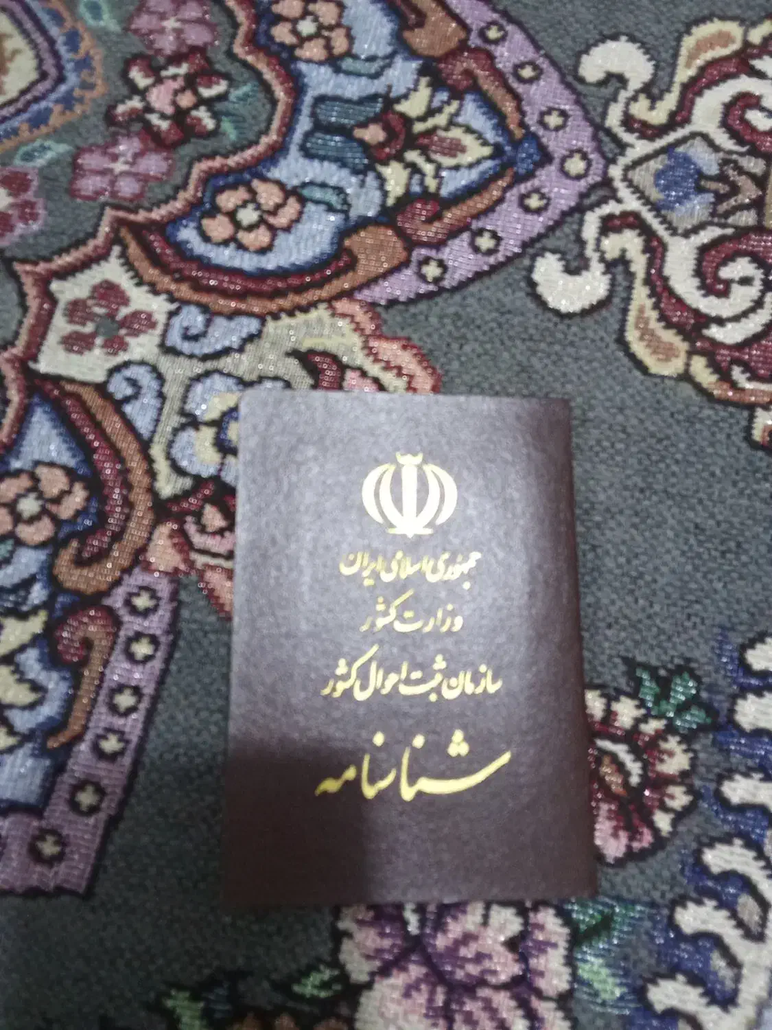 شناسنامه گم کردم|اشیا|شیراز, میانرود|دیوار