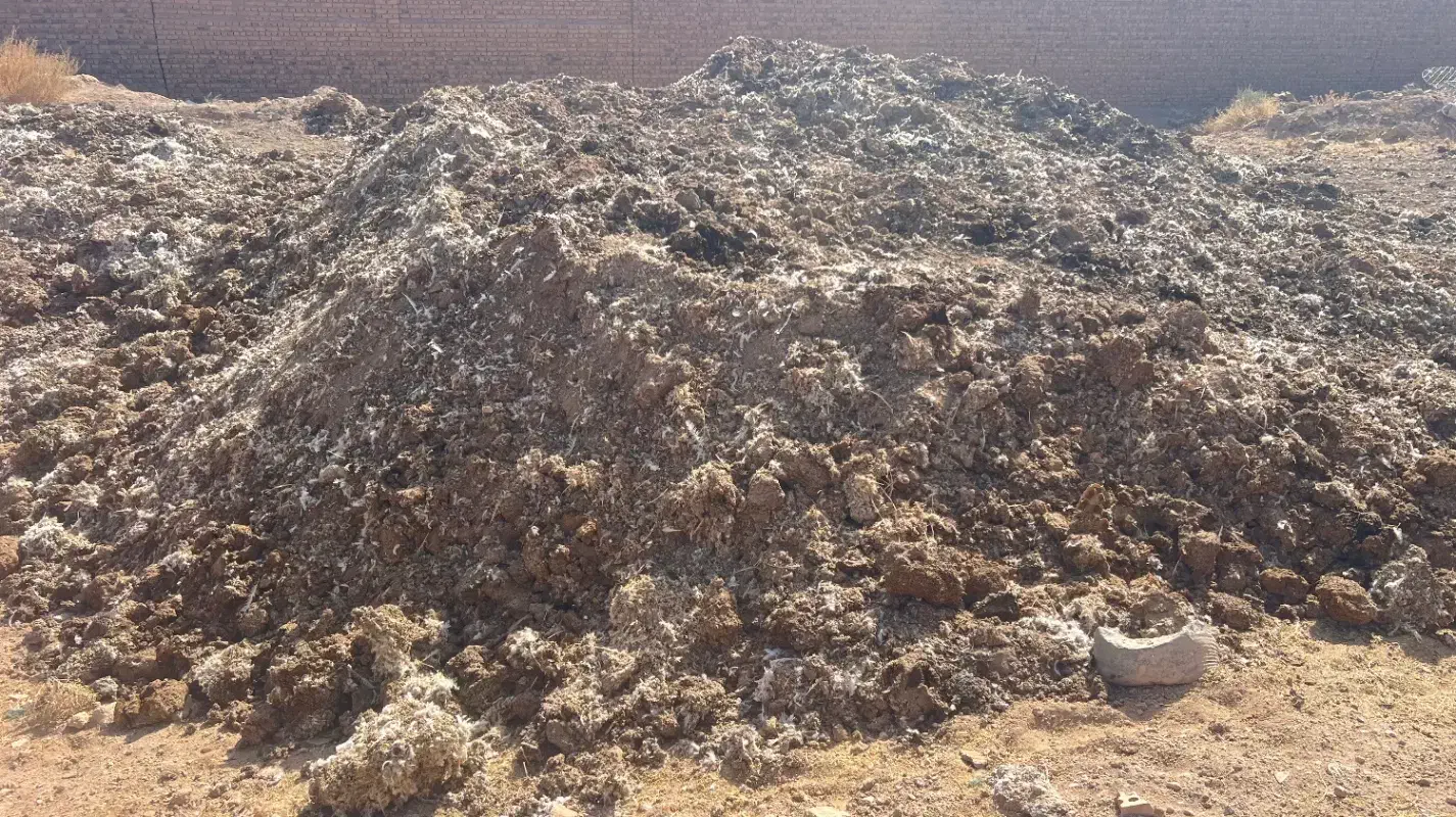 کود خشک|خدمات باغبانی و درختکاری|تایباد, |دیوار