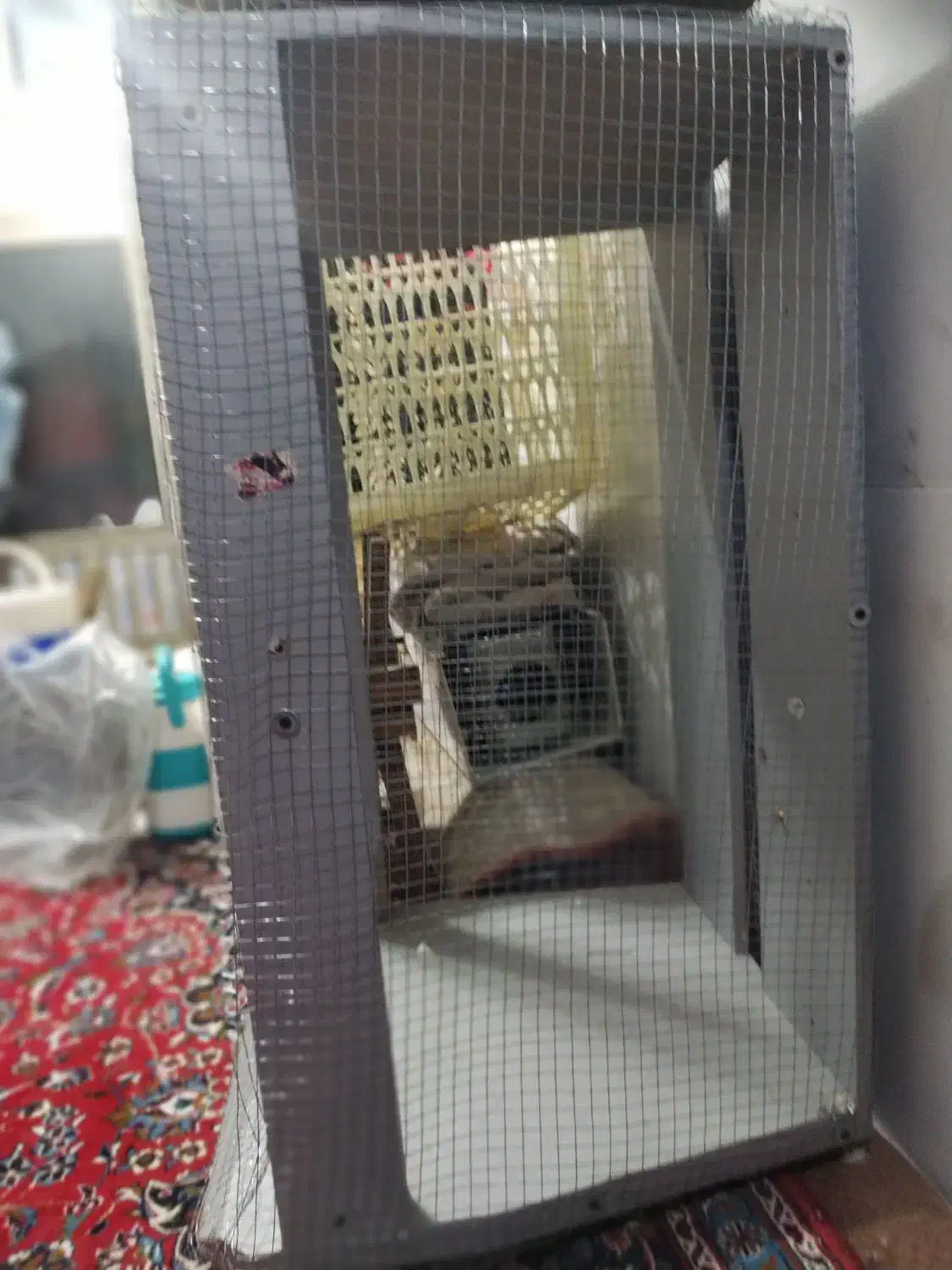 قفس بزرگ|پرنده|نجف‌آباد, شهدای غربی|دیوار