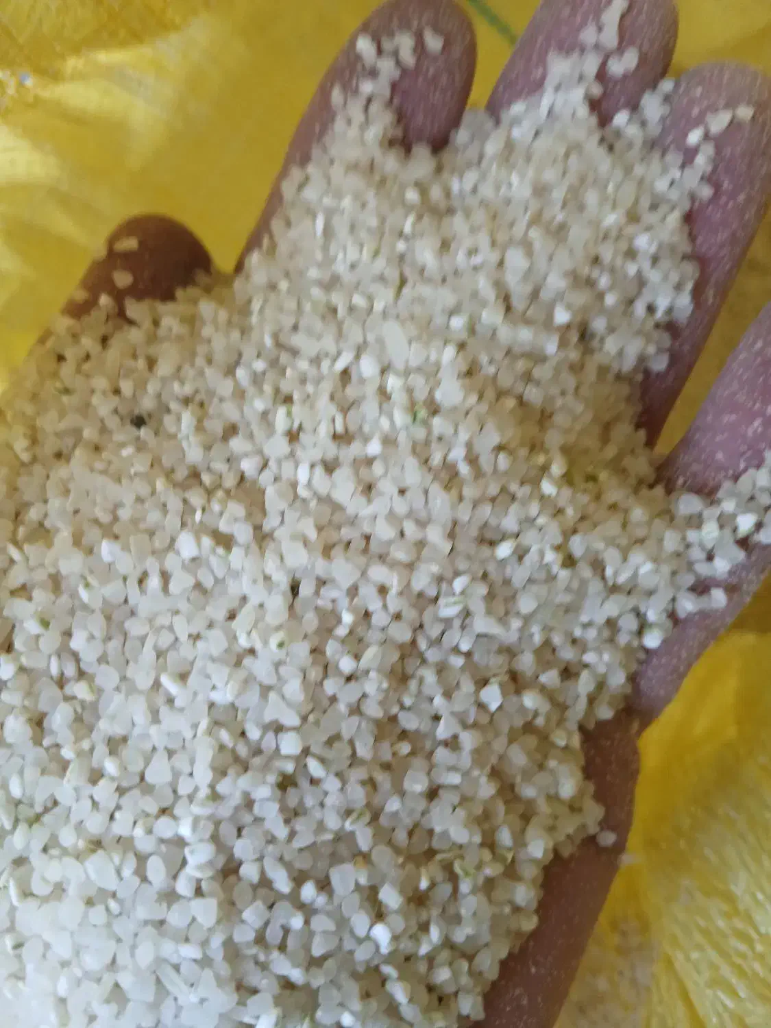 خرده برنج مخصوص اش سبزی ،برنج اصل به شرط پخت نیم|خوردنی و آشامیدنی|شیراز, گویم|دیوار