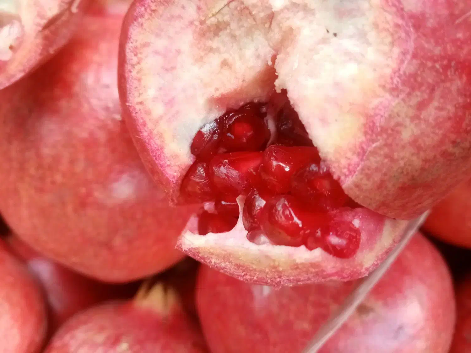 انار دونه قرمز درجه یک|خوردنی و آشامیدنی|شیراز, شریف‌آباد|دیوار