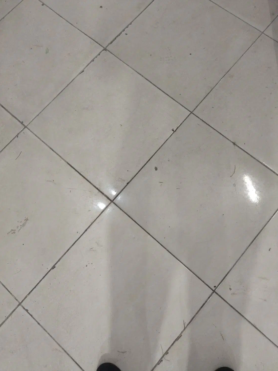 اجاره واحد در دانشگاه|اجارهٔ آپارتمان|سبزوار, پیام|دیوار