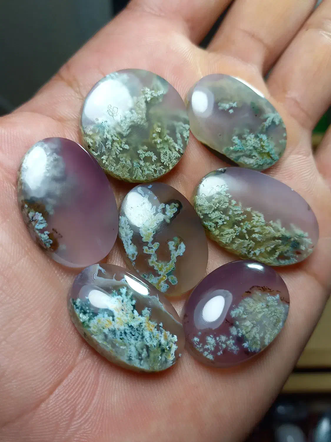 مجموعه ۷عددی  شجر شکوفه فردوس|جواهرات|آیسک, |دیوار