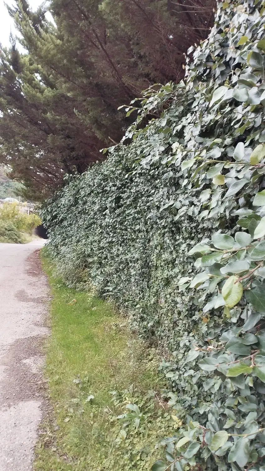 خریدار زمین تجاری سر خیابان|فعالیت داوطلبانه|اسالم, |دیوار